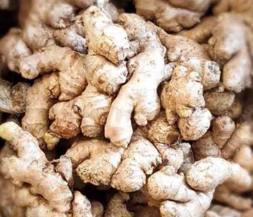 Ginger For Paste, Form : Whole, Packaging Type : Brown