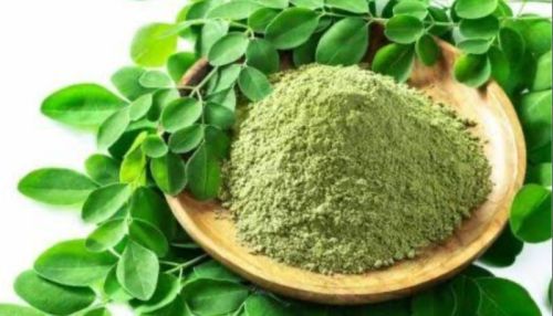 Organic moringa powder, Purity : 100%, Packaging Type : Green
