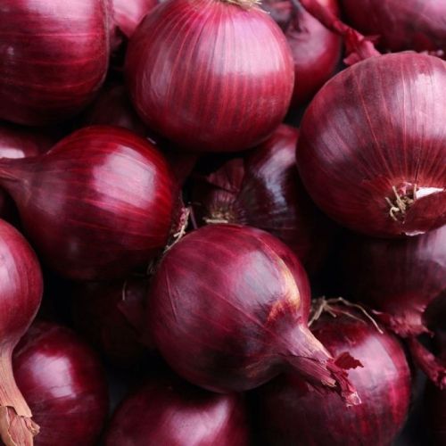 A Grade Red Onion, Packaging Type : Gunny Bag, Packaging Size : 5-25 Kg For Sandwiches, Salsas, Cooking