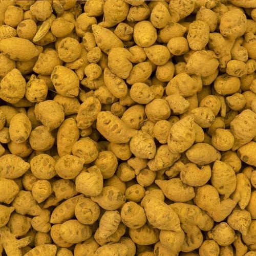 Natural Rajapuri Turmeric Bulb, Packaging Size : 200gm, 500gm, 1kg