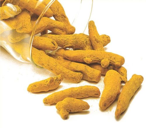 Natural Salem Turmeric Finger, Form : Whole, Packaging Type : Plastic Pack, Packaging Size : 200gm