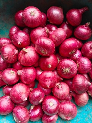 Onions, Packaging Type : Red, Form : Whole