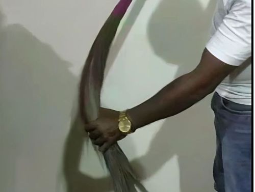 Grass Broom Sticks Oyo, Brand Name : Saral Ease Enterprises