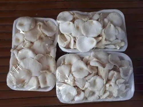 Oyster mushroom, Form : Whole, Quality Available : A Grade