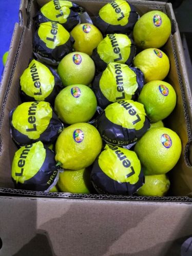 Lemon, Shape : Round, Packaging Type : yellow green