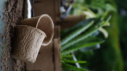 Paper Scrap Compostable Plant Holder, Color : Natural Standard