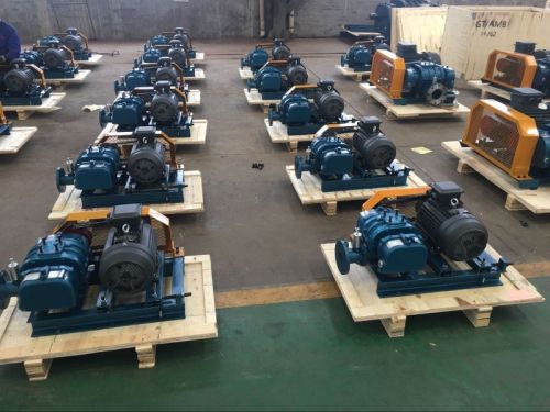 NSRH250 Three Lobe Roots Blower Aeration Aquaculture Industrial