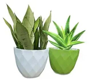 Polished Plastic Diamond Pot, Shape : Round, Portable Style : Standing For Planting