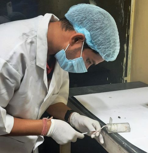 Abnormal Toxicity Testing Services