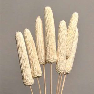 Dried Corn Cobs, Packaging Size : 25-50 Kg