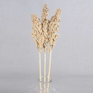 Dry India Corn Grass, Color : Natural For Decoration