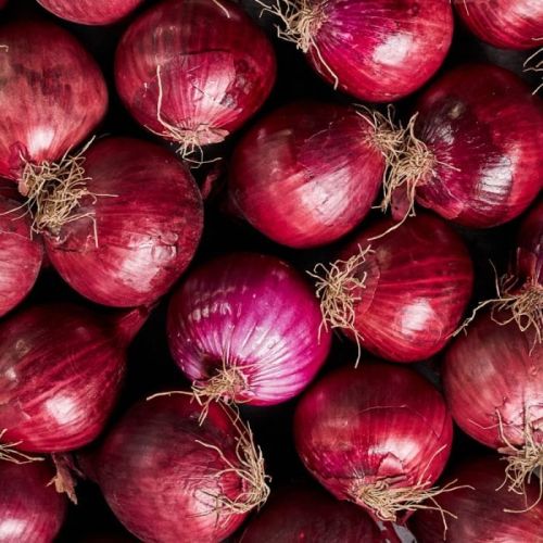 Fresh Red Onion 7-15days, Packaging Size : 5-25kg, Packaging Type : Mesh Bag