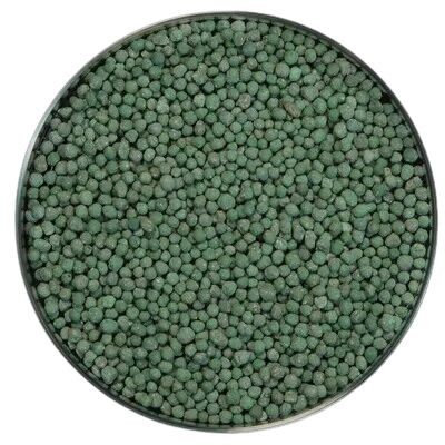 Trichoderma Harzianum 100% For Agriculture