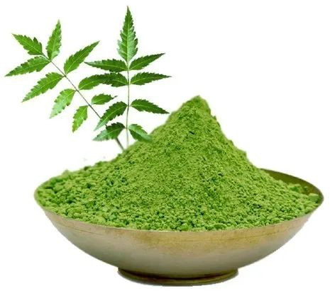 Organic Neem Leaf Powder, Color : Green 3-6 Months, Packaging Type : Plastic Bag