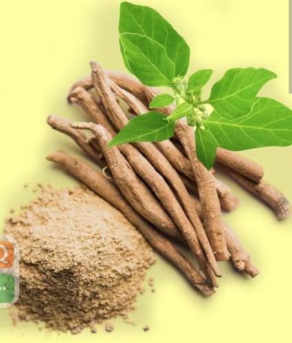 Roots Withania Somnifera Capsules, Form : Powder, Seed