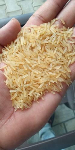 GOLDEN SELLA rice 8.30 MM, Packaging Size : 5, 10 18, 26, 50