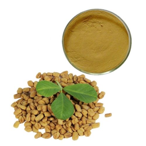 Fenugreek Methi Extract Powder, Color : Light Brown