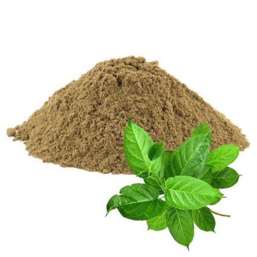 Natural Gymnema Extract Powder, For Pharmaceutical Grade, Commercial Food Industry, Certification : FSSAI Certified