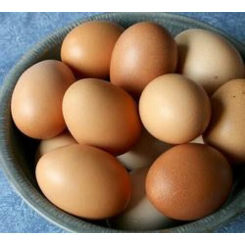 Fresh Kadaknath Black Eggs, Packaging Type : Tray