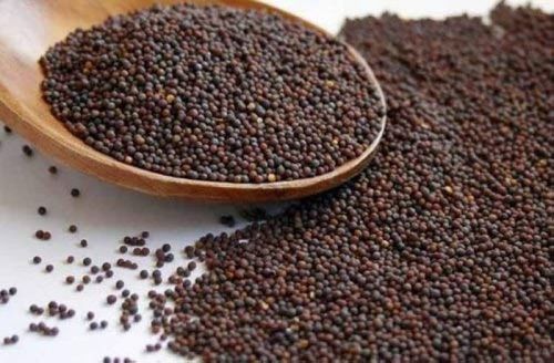 Granules Small Mustard Seed, For Food Medicine, Spices, Packaging Type : Plastic Packet