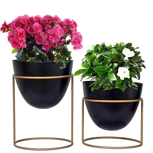 Golden Stand With Multiple Color Pot, Style : Modular