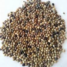 Raw Natural Guar Seeds, For Human Consumption, Grade Standard : Food Grade
