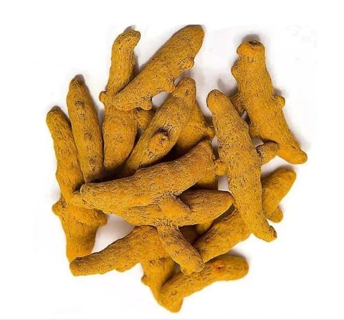 Yellow Whole Double Polished Turmeric Finger, For Cooking, Spices, Packaging Size : 40Kg