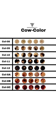 Plain Buffalo Horn Button, Color : Black, Brown 14-31 mm