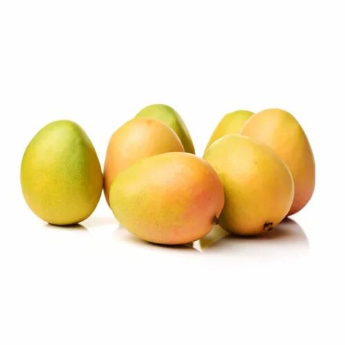 Organic A Grade Kesar Mango, Taste : Sweet