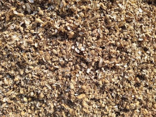 Groundnut Husk For Animal Cattle Feed