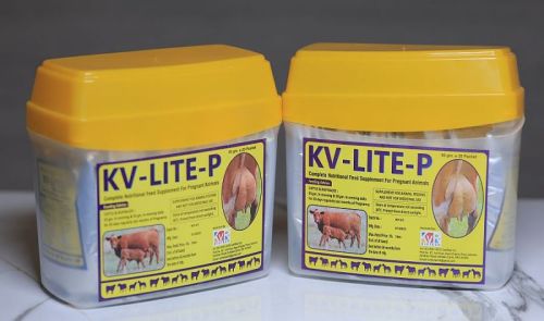 Powder KV-Lite-P Cattle Feed Supplement, For Pregnant Animal, Packaging Type : Box