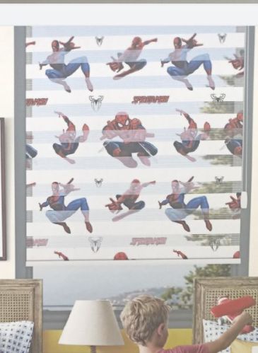 PRINTED ZEBRA BLINDS FOR KIDS ROOM, Technics : Machine Made