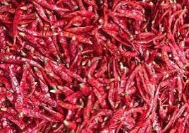 Welldon Whole Teja Dried Red Chilli, For Cooking, Packaging Type : Plastic Packet