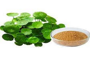 Brahmi Extract Powder, For Cosmetic Use, Packaging Size : 100 Gm
