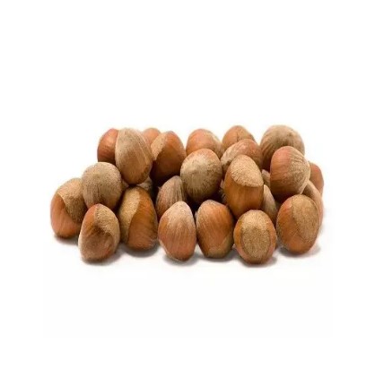 Solid Best Quality Blanched Hazelnuts, Packaging Type : Light Yellow