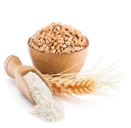 50-100kg Durum Wheat, Packaging Type : White
