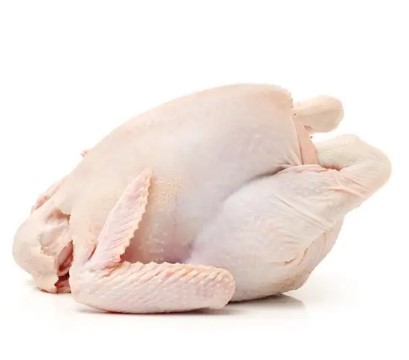 Meat quality halal frozen whole chicken 800-1100G, Length : 1215 cm