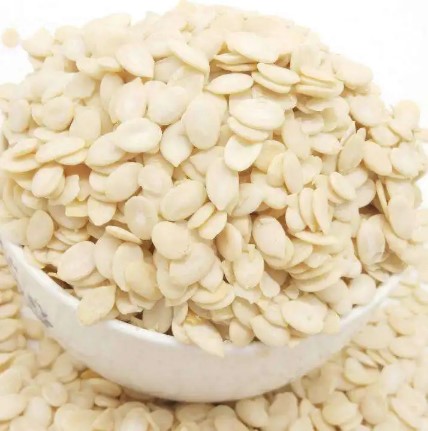 Water Melon Seed Kernel