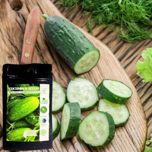 Bioantilia Long Cucumber Seeds, Packaging Size : 10 Grams