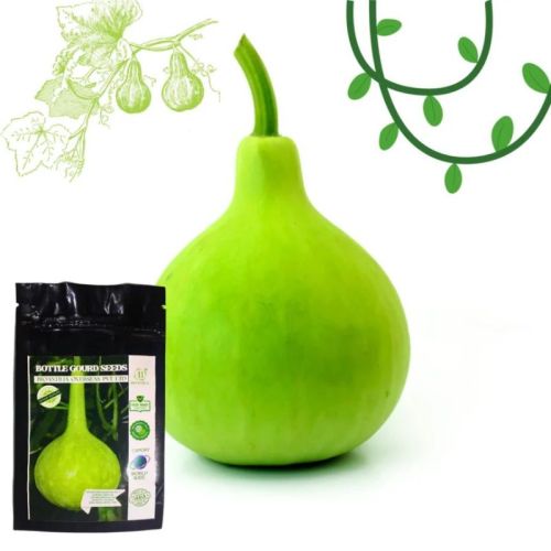 Green Bioantilia Organic Bottle Gourd Seeds