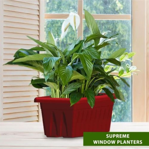 Plastic Bioantilia Supreme Window Planter Pot, Feature : Attractive Pattern, Hard Structure, Long Life