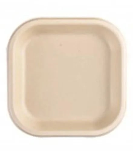 Brown Plain Bagasse Square Plates, For Serving Food, Size : Standard