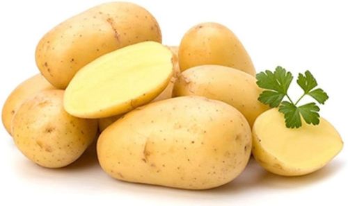 Natural Potato, For Cooking Making Chips