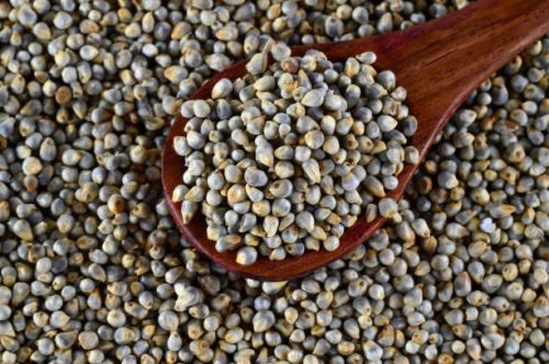 Bajra, For Cattle Feed, Feature : Non Harmful, Natural Taste