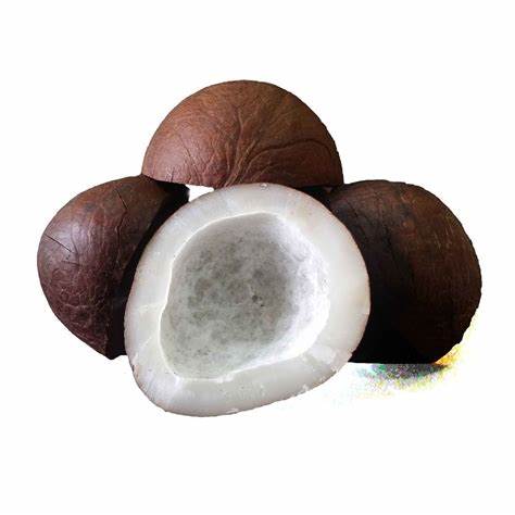 Dry Coconut