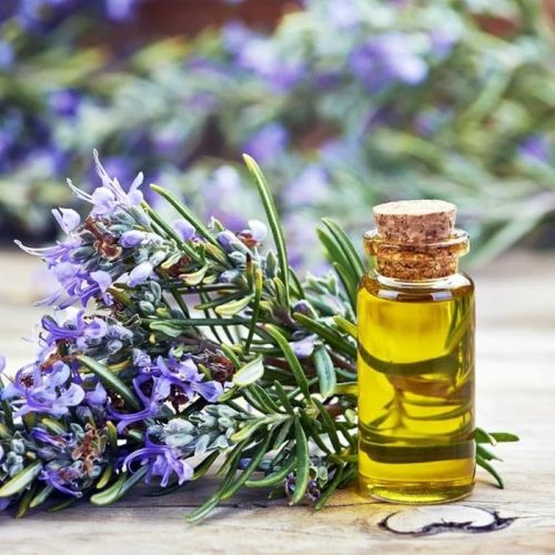 Yellow Liquid Rosemary Oil, For Pharma/Cosmetics/Aromatherapy, Purity : 100%