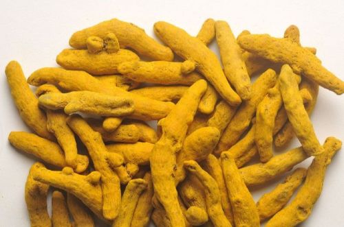 Yellow Sticks Polished Dried Turmeric Finger, For Cooking, Packaging Type : PP Bags