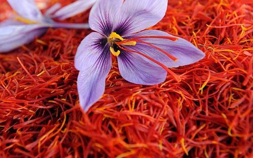 Natural Iran Saffron, Packaging Type : Plastic Packet