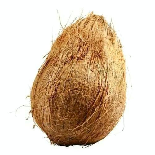 Organic Semi Husked Coconut For Pooja, Cooking