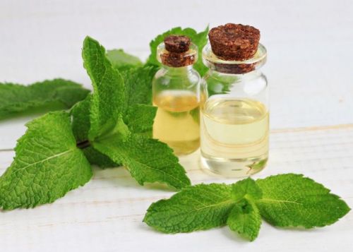 Light Brown Liquid Mentha Oil, For Medicine, Packaging Type : Plastic Bottles